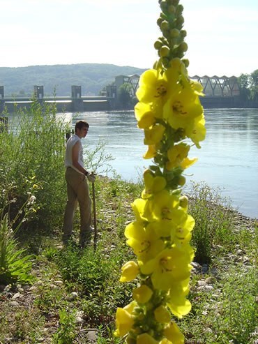 Gelände mit Kraftwerk im Hintergrund